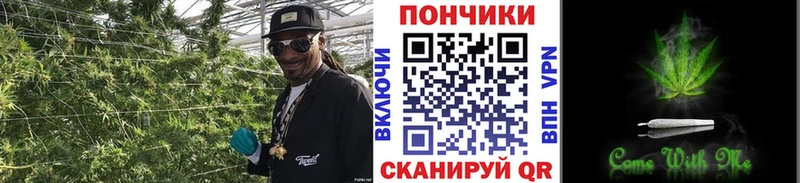 Наркошоп купить Cocaine  А ПВП  АМФ  Мефедрон  Каннабис  Власиха
