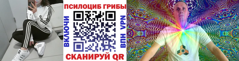 Купить где  Власиха  Галлюциногенные грибы MAGIC MUSHROOMS 