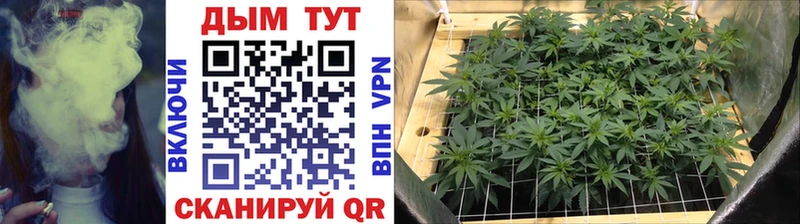 Купить  Власиха  МАРИХУАНА ГИДРОПОН 